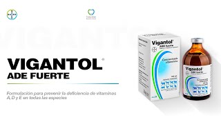 En Voz Del Experto Bayer Uso de Vigantol ADE fuerte en protocolo de empadre [upl. by Ati]