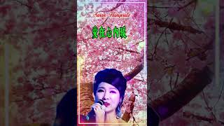 【愛在心內暖 米雪 鄭少秋】香港粵語怀旧金典名曲歌曲 Michelle Adam Cheng Love In Warm Heart Nostalgic Classic Cantonese Hits [upl. by Andra]