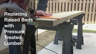 Replacing Raised Beds with Pressure Treated Lumber [upl. by Aennaej861]