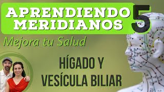 MERIDIANOS Energéticos  HIGADO y VESICULA BILIAR  MEJORA TU SALUD Trazando meridianos  Parte 5 [upl. by Anerat]