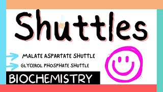 Shuttles  Malate amp Glycerol phosphate shuttles  Biochem  MBBS 1st year [upl. by Ernestus]