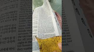 🌱asmr Bible reading Judges 19222023✨in Korean 한국어 amp English 영어 [upl. by Larual831]