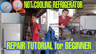 how to system reprocess a refrigerator not cooling complete tutorial for beginner 1 [upl. by Idette]