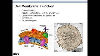 04  Chapter 3 Part A  Lecture Compartmentation Part 1 [upl. by Manfred]