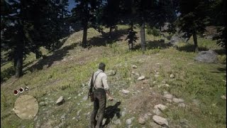 Red Dead Redemption 2 oso negro y easter egg de the revenant [upl. by Leiso310]