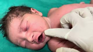 Newborn baby video day 11baby sleepmini volg [upl. by Atekihc468]