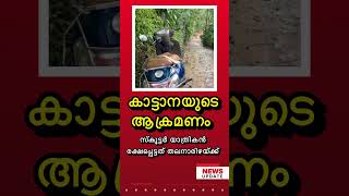 കാട്ടാനയുടെ ആക്രമണം [upl. by Emilio]