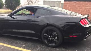 Ecoboost Mustang with Resonator and Muffler Delete [upl. by Llerdna]