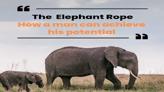 How a man can achieve his potential  The inner fear of man  Learn a lesson from an Elephant Rope [upl. by Yllac]