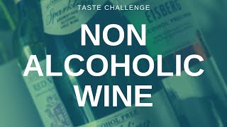 Non Alcoholic Wine  Tasted and Rated [upl. by Aynnat]