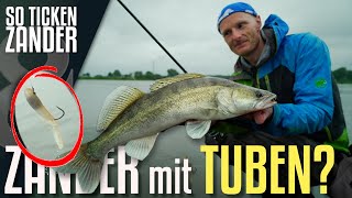 Zanderangeln mit der Tube So ticken Zander [upl. by Notlok42]