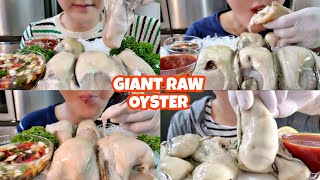 GIANT RAW OYSTER Seo Jiwoo ASMR Mukbang Compilation  Milk of the sea🥛🌊 [upl. by Silma771]