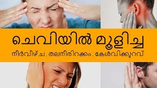 Ear Diseases  Hearing Loss and Tinnitus  Mohanan Vaidyar [upl. by Onirefez880]