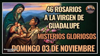 46 ROSARIOS A LA VIRGEN DE GUADALUPE MISTERIOS GLORIOSOS  GUADALUPANO  DOMINGO 03 NOVIEMBRE 2024 [upl. by Hctim]