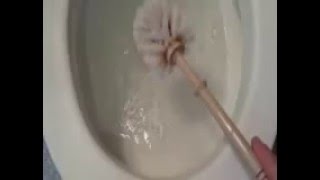 How to Clean a Toilet with Baking Soda Does this Work [upl. by Acilef516]