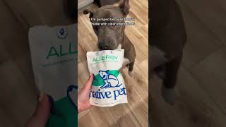 Allergy Remedy for Dogs [upl. by Maddock919]