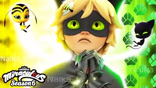 🔴BEE NOIR  NEW TRANSFORMATIONS 🐞 LADYBUG AND CAT NOIR MIRACULOUS 6 Fanmade [upl. by Ettennad497]