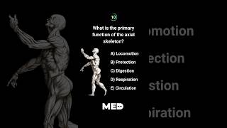 🚀Daily MCQs preclinical focused For challenging clinical MCQs visit our instagram medplaycouk [upl. by Meyers]