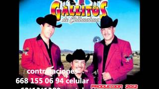 los gallitos de chihuahua  las diferencias 2012wmv [upl. by Enilrem89]