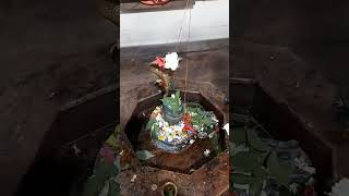 Aarti shiv ji ki 🙏🙏 by sonisingh youtubeshorts [upl. by Orit]