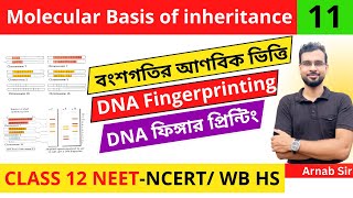 Molecular Basis of Inheritance 11  DNA Fingerprinting in Bengali  Class 12 NEET Biology [upl. by Male]