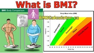 BMI Body Mass Index Introduction History and BMI Calculator [upl. by Nemzzaj]