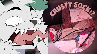 Is that a CRUSTY sock  Setup Review 🖥️ [upl. by Kiley132]