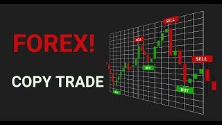 COPY TRADING FOREX RESULTADOS [upl. by Palumbo997]