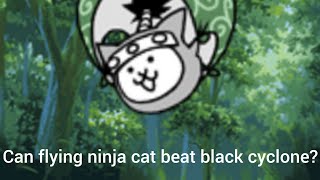 Can Flying ninja cat beat black cyclone [upl. by Gwenny]