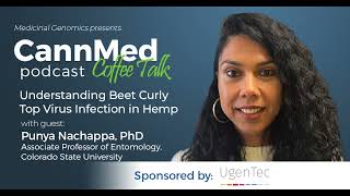 Understanding Beet Curly Top Virus Infection in Hemp with Punya Nachappa PhD [upl. by Nnylesor]