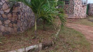 The Most Affordable Buy And Build Land For Sale at Freshland Estate Agbara Lagos [upl. by Bolte53]