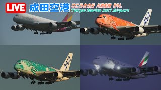 【LIVE】20241103 Tokyo NARITA Intl Airport Plane Spotting 成田空港ライブカメラ [upl. by Darraj]