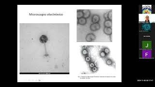 Curso de Zoonosis y enfermedades infecciosas [upl. by Killoran]