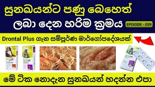 ඔබේ සුරතලාටත් Drontal Plus පණු බෙහෙත්  පණු බෙහෙත් දෙන හරිම විදිය  Deworming for Dogs [upl. by Cheke]