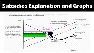 Subsidies Explanation and Graphs Welfare Loss  Effects of Subsidies [upl. by Suidaht707]