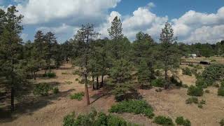 1855 W US Hwy 160  Sawmill Creek Pagosa Springs CO 81147 Real estate for Sale Aerial Video [upl. by Hindu]