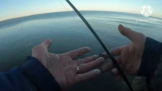 Mackerel Fishing In Maine USA 2023 [upl. by Alien201]