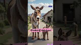 Donkey  Dog viral  video [upl. by Remos]