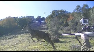 MONTERIAS EN TOLEDO 💥🐗🦌Jabalíes y Ciervas【INCREÍBLE】 [upl. by Krauss]