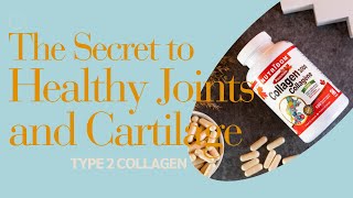 Hydrolyzed Type 2 Collagen The Secret to Healthy Joints and Cartilage [upl. by Amadus]