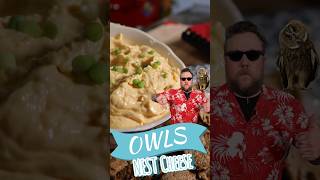 Owls Nest Cheese Recipe  Easy Cheddar Cheese Recipe at Home  shortscooking [upl. by Ydnac]