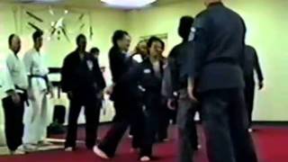 Kenpo Karate SGM Yoshio Furuya The Essence [upl. by Eldridge631]