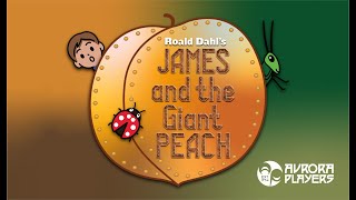 James and the Giant Peach [upl. by Rofotsirk900]