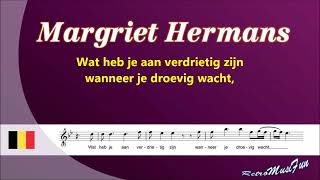 Margriet Hermans  Een vriend  Karaoke [upl. by Nivla413]