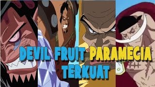 10 DEVIL FRUIT PARAMECIA TERKUAT  ONE PIECE INDONESIA [upl. by Esialb952]