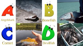 Sea Animals ABC Song  Sea Animals Alphabet Song  Learn The Names of Sea Animals  Learn ABC  Baby [upl. by Easton]