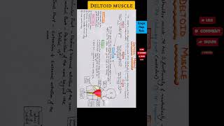 Deltoid muscle [upl. by Sethi]