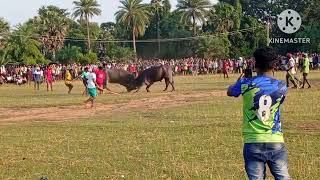 sitram soren dulumpur patna vs okil murmu pelpahar barhait  badi paharpur maidan ka 2nd ka ropok [upl. by Newhall]