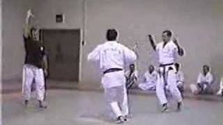 Shodokan Aikido  Denver 2002 [upl. by Vanessa536]