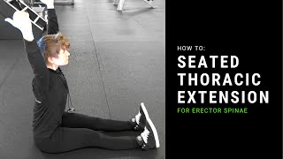 Seated Thoracic Extension Erector Spinae Exercise [upl. by Asteria]